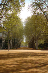 camino