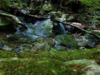 三頭山の沢