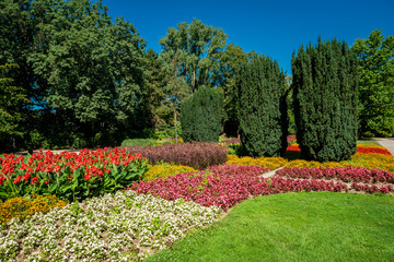 Lots of flowers in the park on a sunny day