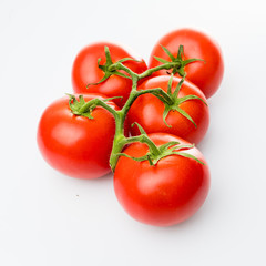 Tomato branch. Tomatoes isolated on white