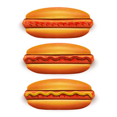 Hot Dog with Ketchup and Mustard in Realistic Style
