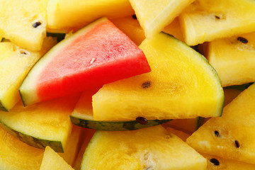 Pieces of red and yellow watermelon in a plate. A slice of red watermelon is one among the yellow pieces. Highlight