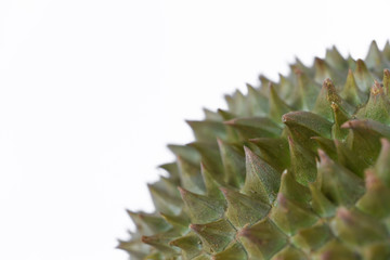Naklejka na ściany i meble Thorn of durian on white background.