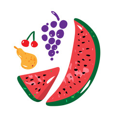 Fruit concept with watermelon, pear, grape and cherry. Colorful illustration isolated on white. Vector.