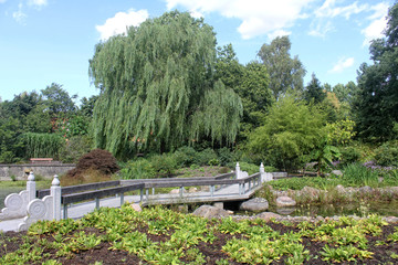 Fototapeta na wymiar Brücke im Botanischen Garten