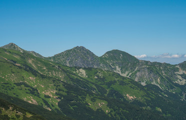 Mountain landscape of Western Tatra mountains or Rohace with view on ostry rohac two peaks from hiking trail on Baranec. Sharp green grassy rocky mountain peaks with scrub pine and alpine flower