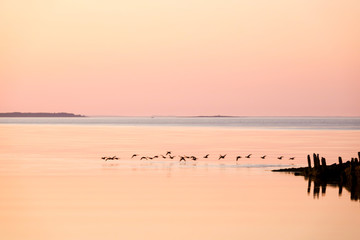 fishing at sunset