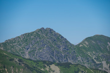 Close up view on ostry rohac two peaks. Sharp green grassy rocky mountain peaks with scrub pine and alpine flower meadow. Mountain landscape of Western Tatra mountains or Rohace. Summer blue sky