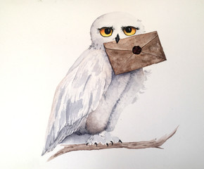 owl holding a letter - obrazy, fototapety, plakaty