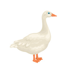 Goose isolated on white background. Vector illustration of domestic farm bird in cartoon simple flat style.