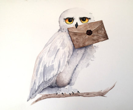 Harry Potter Owl Images – Browse 847 Stock Photos, Vectors, and Video |  Adobe Stock