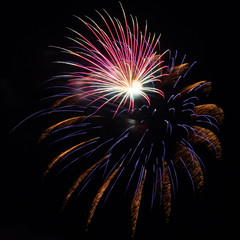 Purple, red, green, and gold fireworks explode during an Independence Day celebration in the United...