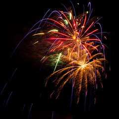 Purple, red, green, and gold fireworks explode during an Independence Day celebration in the United States.