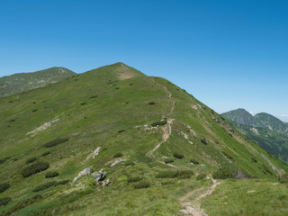 Beautiful mountain landscape of Western Tatra mountains or Rohace with hiking trail on ridge. Sharp green grassy rocky mountain peaks with scrub pine and alpine flower meadow. Summer blue sky