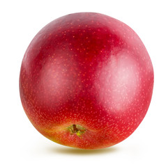 Obraz premium Apple isolated on white background with clipping path