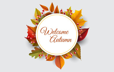 Round white frame with yellow and orange autumn leaf and red berry branch. Vector illustration with colorful plants, banner for autumn design background and fall template