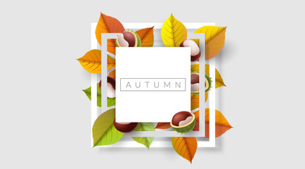 Autumn frame with chestnut and colorful chestnut leaf, minimal square border for modern design. Vector illustration with wild plant, for autumn design and fall template background