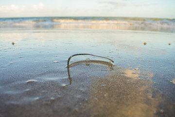 Dangerous piece of broken glass on the sand, ocean in the background on Itamaraca island - Brazil