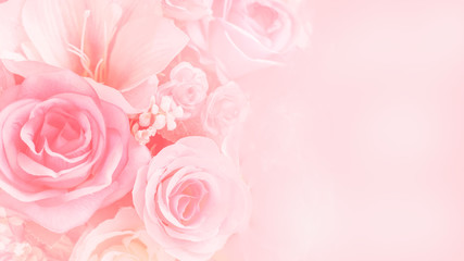 Fototapeta na wymiar Rose flowers