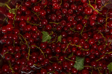 Ripe red currant berries as a background, low key image.