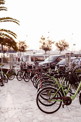 Bicycle parking at sea. Active holiday. Photo on the street.