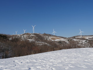 wind turbines in winter, 한국 겨울 대관령