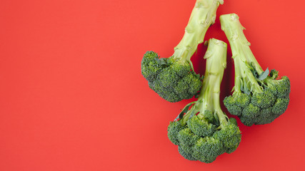 Broccoli Close Up on Red Background. Fresh Ripe Organic Broccoli Directly From Above with Copy Space.  Group of Objects, Healthy Eating, Healthy Lifestyle, Product