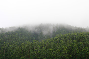 Jundiai