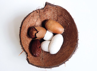 Coconut shell, nuts and silk cocoon with white background