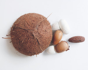 Coconut shell, nuts and silk cocoon with white background
