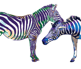 Two zebras. Stylish multi-colored pattern. Bright print. Love, relationships, romance. Male and female, male and female.