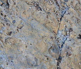 Stone texture background/ Rock texture/ Surface of the marble/Beautiful nature stone texturefor background/