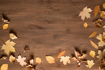 Yellow leaves flat lay