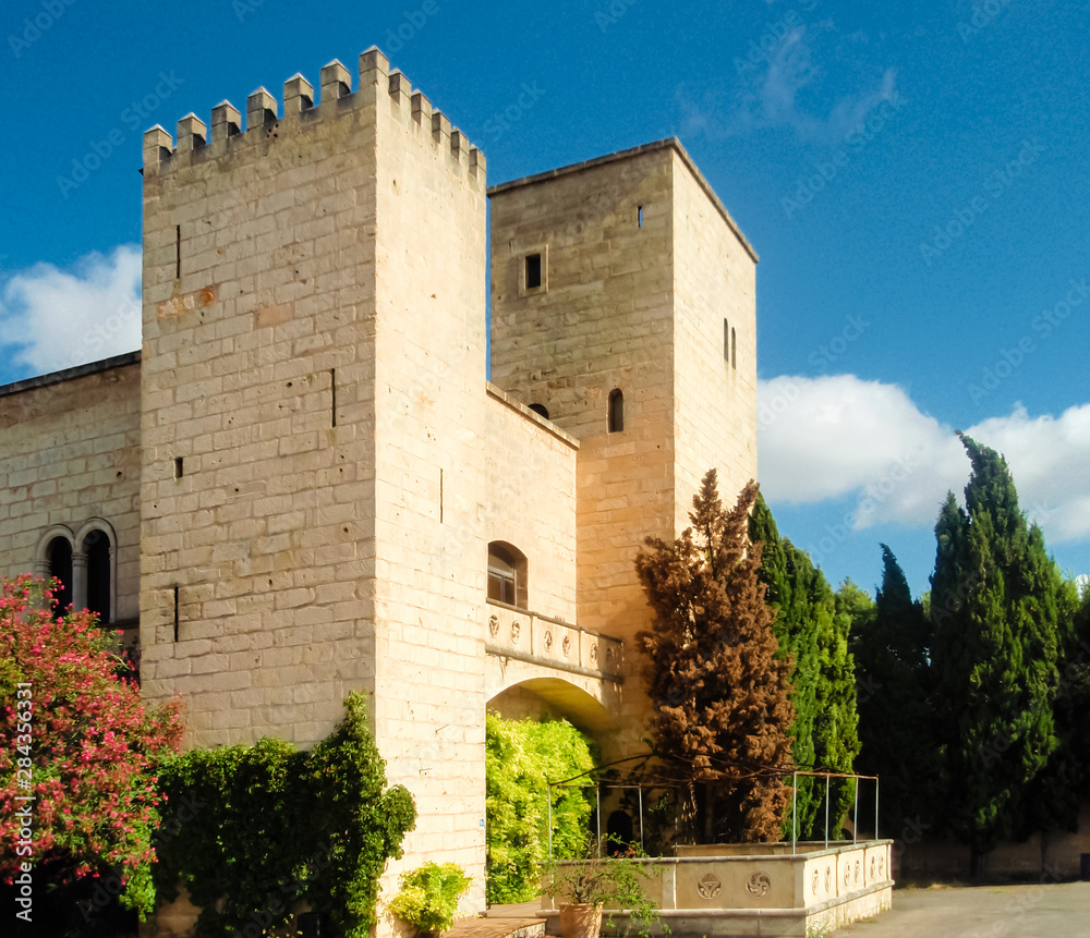 Wall mural Castillo medieval en medio del campo