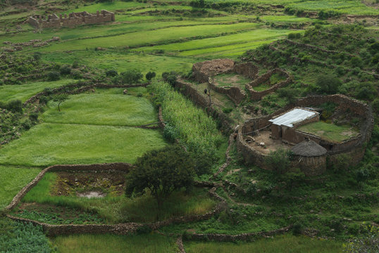 Ethiopia: Tigray Region, in Adwa Mountains, valley with fileds of teff, stone walls for terracing, stone buildings