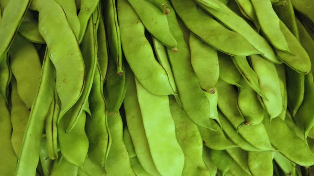 close up of fresh harvest green beans