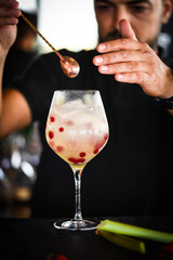 tonic gin cocktail with fresh rhubarb & red berries