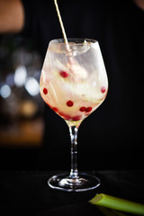 tonic gin cocktail with fresh rhubarb & red berries
