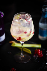 tonic gin cocktail with fresh rhubarb & red berries