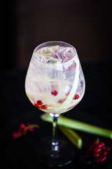 tonic gin cocktail with fresh rhubarb & red berries