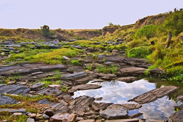 Fototapeta premium A scenic view of the Mara in the Maasai Mara Kenya. 