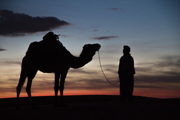 Africa, Morocco, Tafilalet, Erfoud, Merzouga, Erg Chebbi, Dromedary (Camelus dromedarius) camel with Tuareg man, at sunset, on the Erg Chebbi Dunes (up to 400 feet in height).