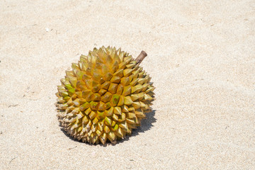 Durian fruits