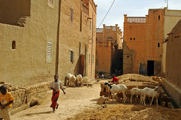 MALI, Mopti. Streets of Mopti 