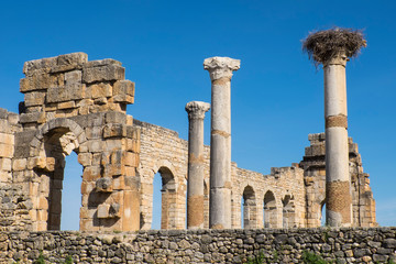 Morocco, Volubilis. AN archeological site of Roman ruins. Stork Nest on the columns.