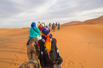 Africa, Morocco, Tafilalt, Erfoud, Merzouga, Erg Chebbi, Dromedary (Camelus dromedarius) camels and caravan with tourists being led through desert, on the Erg Chebbi Dunes (up to 400 feet in height).