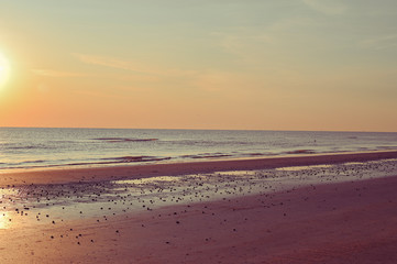 Sunset on the beach. Tinted photo in golden highlights. Sea and sandy beach. Banner, long format. Free space for text.