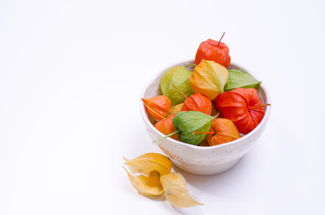 Multicolor physalis flowers in a plate against white background. Template with ripe red physalis flowers.