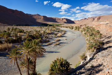 Fototapeta na wymiar River and desert, near Erfoud, Meknes-Tafilalet, Morocco