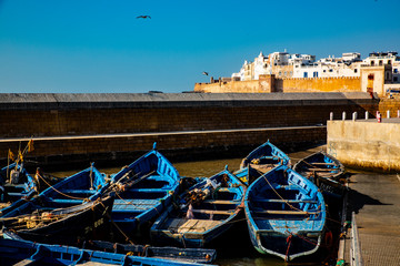 Fototapeta na wymiar Essaouira, Morocco. Seagulls flying, wooden boats, walled city
